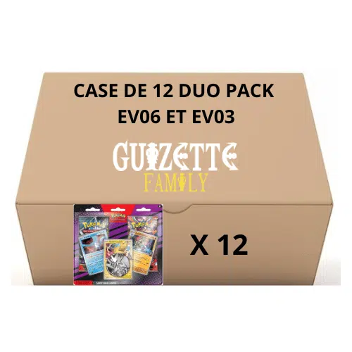 visuel Case de duo Pack EV03 et EV06
